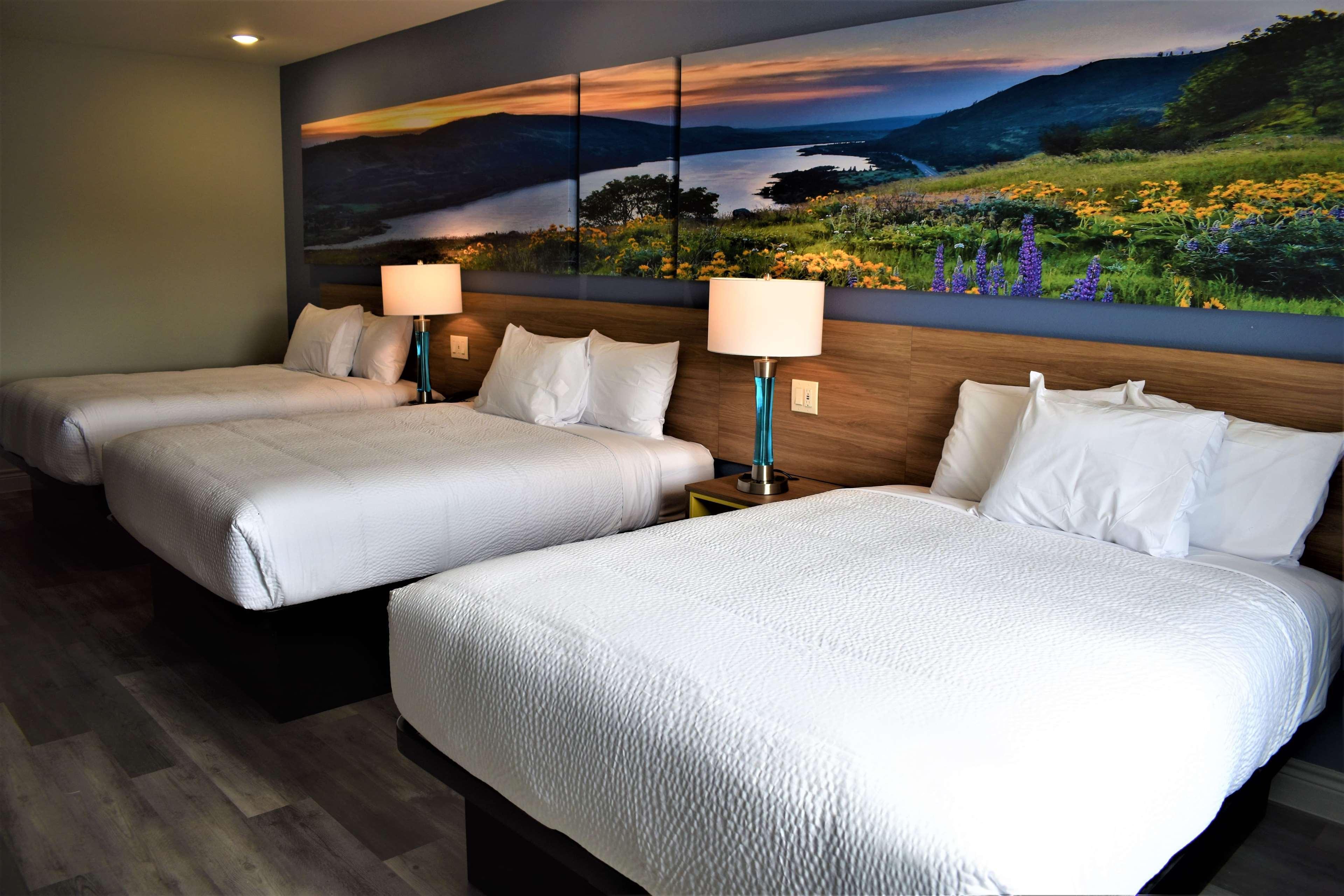 Days Inn & Suites By Wyndham Downtown/University Of יוסטון מראה חיצוני תמונה