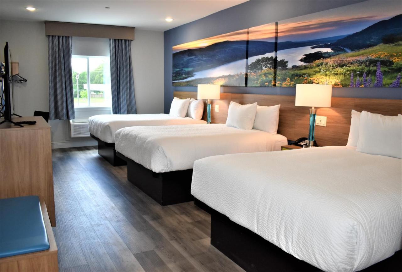 Days Inn & Suites By Wyndham Downtown/University Of יוסטון מראה חיצוני תמונה